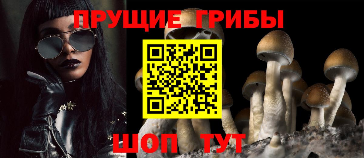 Галлюциногенные грибы Magic Shrooms  Вход с VPN  Псилоцибиновые грибы Magic Shrooms  Уварово 